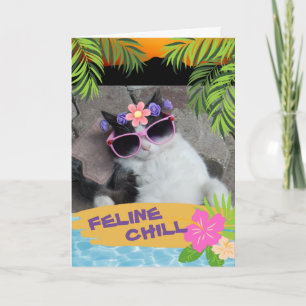 Carte Feline Chill Bon Voyage Chat Tropical