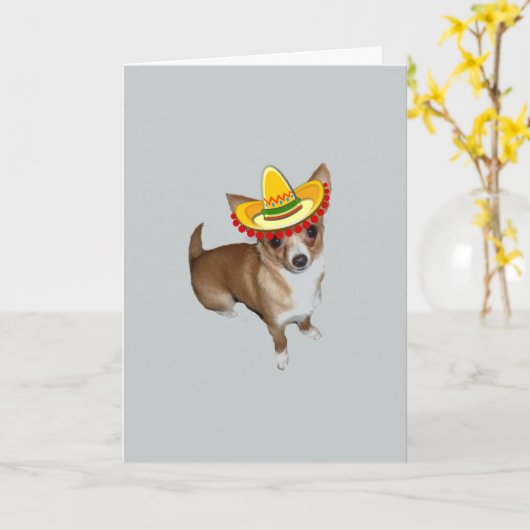 Carte Feliz Cinco De Mayo (Fleur jaune)