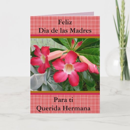 Carte Feliz Dia de las Madres Querida Hermana 321 (Devant)