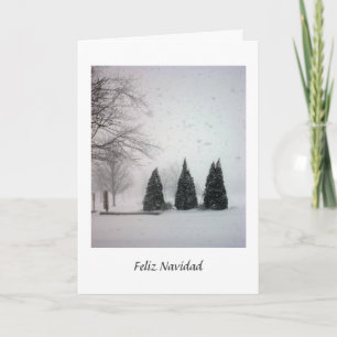 Carte Feliz Navidad