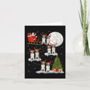 Carte Femme Border Collie Chien Père Noël Traîneau Volan