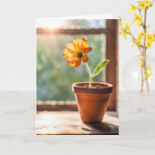 Carte Fenêtre Avec Orange Daisy Penser De Vous (Fleur jaune)