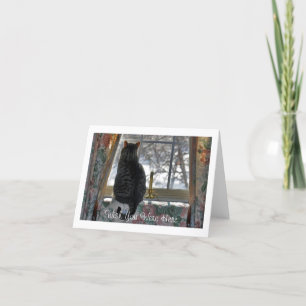 Carte Fenêtre Tabby Cat Vue Extérieure