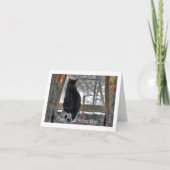 Carte Fenêtre Tabby Cat Vue Extérieure (Devant)