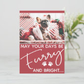 Carte Fer et chien brillant photo Noël (Debout devant)