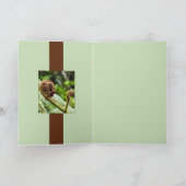 Carte Ferme de la forêt de Kauri (Intérieur)