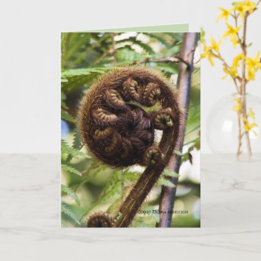 Carte Ferme de la forêt de Kauri (Fleur jaune)