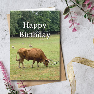 Carte Ferme de taureau de mouton d'anniversaire de voyag