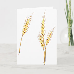 Carte Ferme de tiges de blé doré Récolte de grains