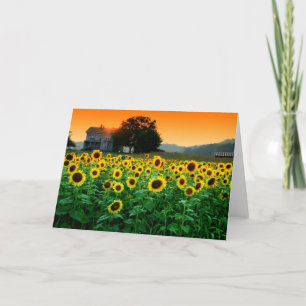 Carte Ferme de tournesol