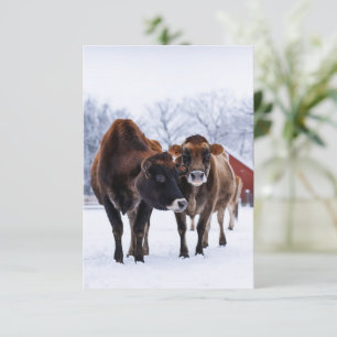 Carte Ferme d'hiver deux vache brune dans la neige salut