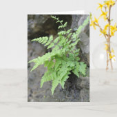 Carte Ferme du début du printemps (Fleur jaune)