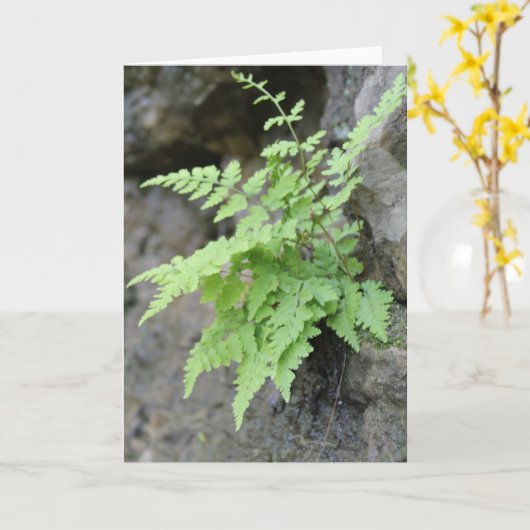 Carte Ferme du début du printemps (Fleur jaune)