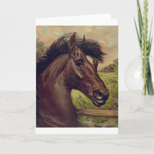 Carte ferme équestre ranch randonnée sports western équi
