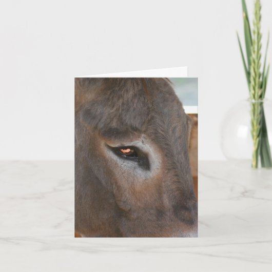 Carte Ferme Pensées d'Âne Note sur les Animaux de la Fer (Devant)