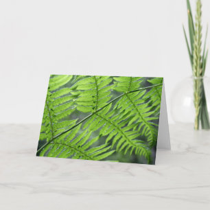 Carte Ferme verte