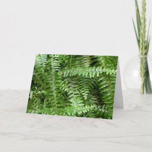 Carte Fermer Fronds I Green Nature