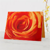 Carte Fermer le Rose lumineux (Fleur jaune)