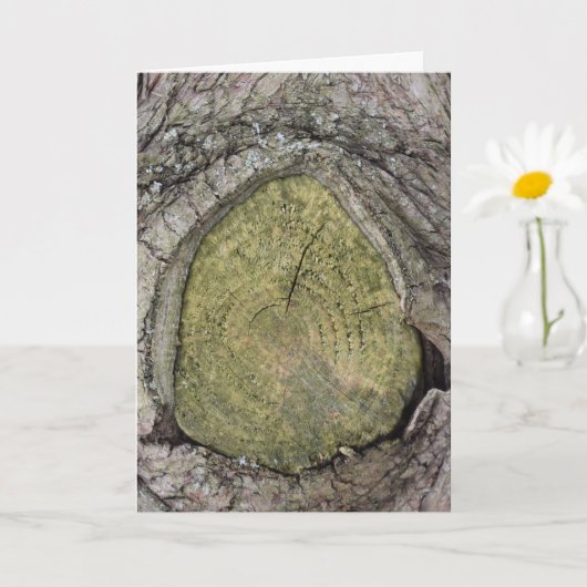 Carte Fermer le talon de branche de l'arbre (Petite plante)