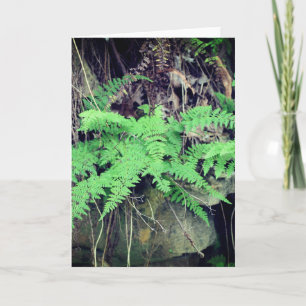 Carte Fermer toutes les occasions