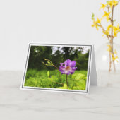 Carte Fermeture de la photographie Éclairage vert de Cle (Fleur jaune)