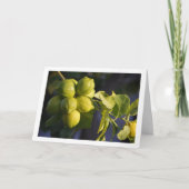 Carte Fermeture de l'arbre du citron (Devant)