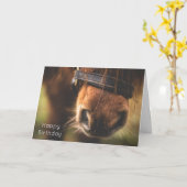 Carte Fermeture d'un joli cheval Brown Nez Anniversaire (Fleur jaune)