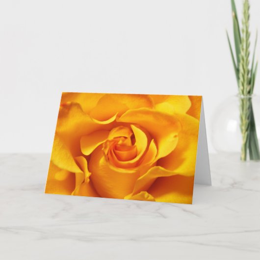 Carte Fermez-vous d'un rose jaune (Devant)