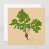 Carte Fermier Radish Turnips Jardinage Plante (Devant / Derrière)