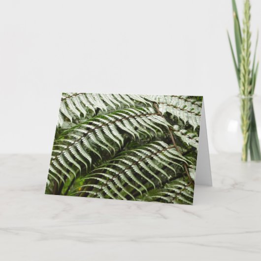 Carte Fern Fronds II Dark Green Nature (Devant)