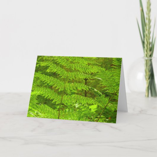 Carte Fern Fronds III Nature verte Botanique (Devant)