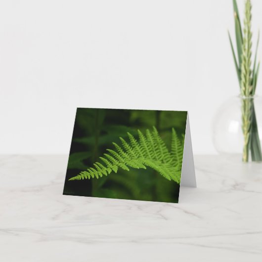 Carte Fern P6597 (Devant)