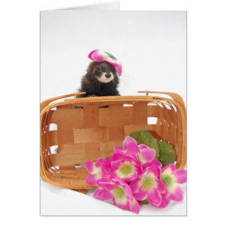 Carte Ferret