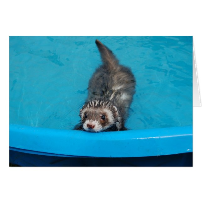 Carte Ferret (Devant horizontal)