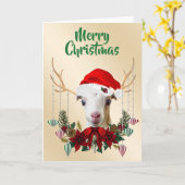 Carte Festif Noël LaMancha Goat Kid (Fleur jaune)