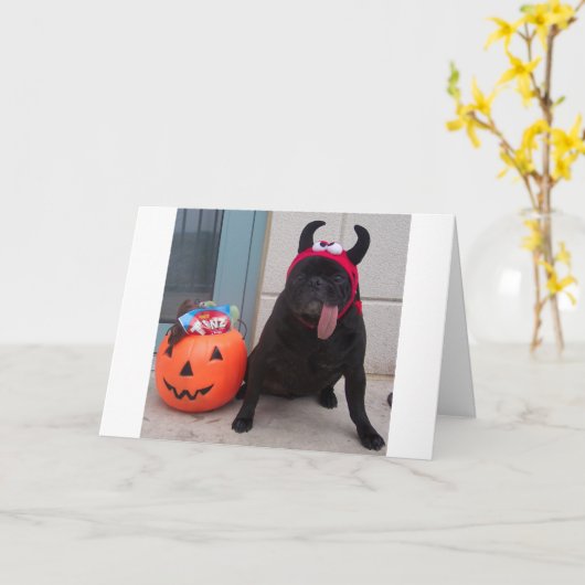 Carte Festin de Licker (Fleur jaune)