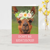 Carte Festive Silly Llama Se Bien (Fleur jaune)