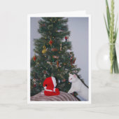 Carte Festive White Kitten et Père Noël Portrait (Devant)