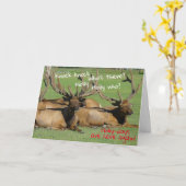 Carte Fête de fin d'année - Cogne Cogne (Fleur jaune)