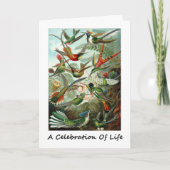 Carte Fête De La Vie Des Colibris Ernest Haeckel (Devant)