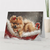 Carte Fête de Noël de Chien de Poméranie (Devant)