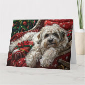 Carte Fête de Noël de Chien Havanais (Devant)