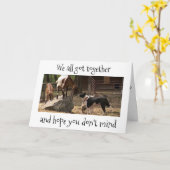 CARTE *FÊTE DES ANIMAUX DE BARNYARD* SUR "VOTRE ANNIVERS (Fleur jaune)