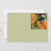 Carte Fête des insectes : Oncopeltus fasciatus/Sarcophag (Dos)