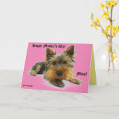 Carte Fête des mères Animaux de compagnie (Fleur jaune)