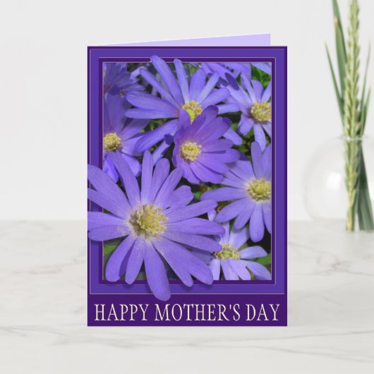 Carte Fête des Mères Carte Bleue Fleur Daisy Card (Devant)