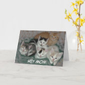 Carte Fête des mères chatons (Fleur jaune)