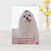 Carte Fête des mères Chien maltais (Fleur jaune)