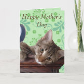 Carte Fête des Mères Cute Kitten (Devant)