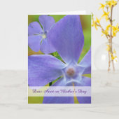 Carte Fête des mères de tante avec Vinca Vine Flower (Fleur jaune)